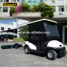 EXCAR - Camión carrito de golf eléctrico de 2 plazas con carrito de recogida de golf